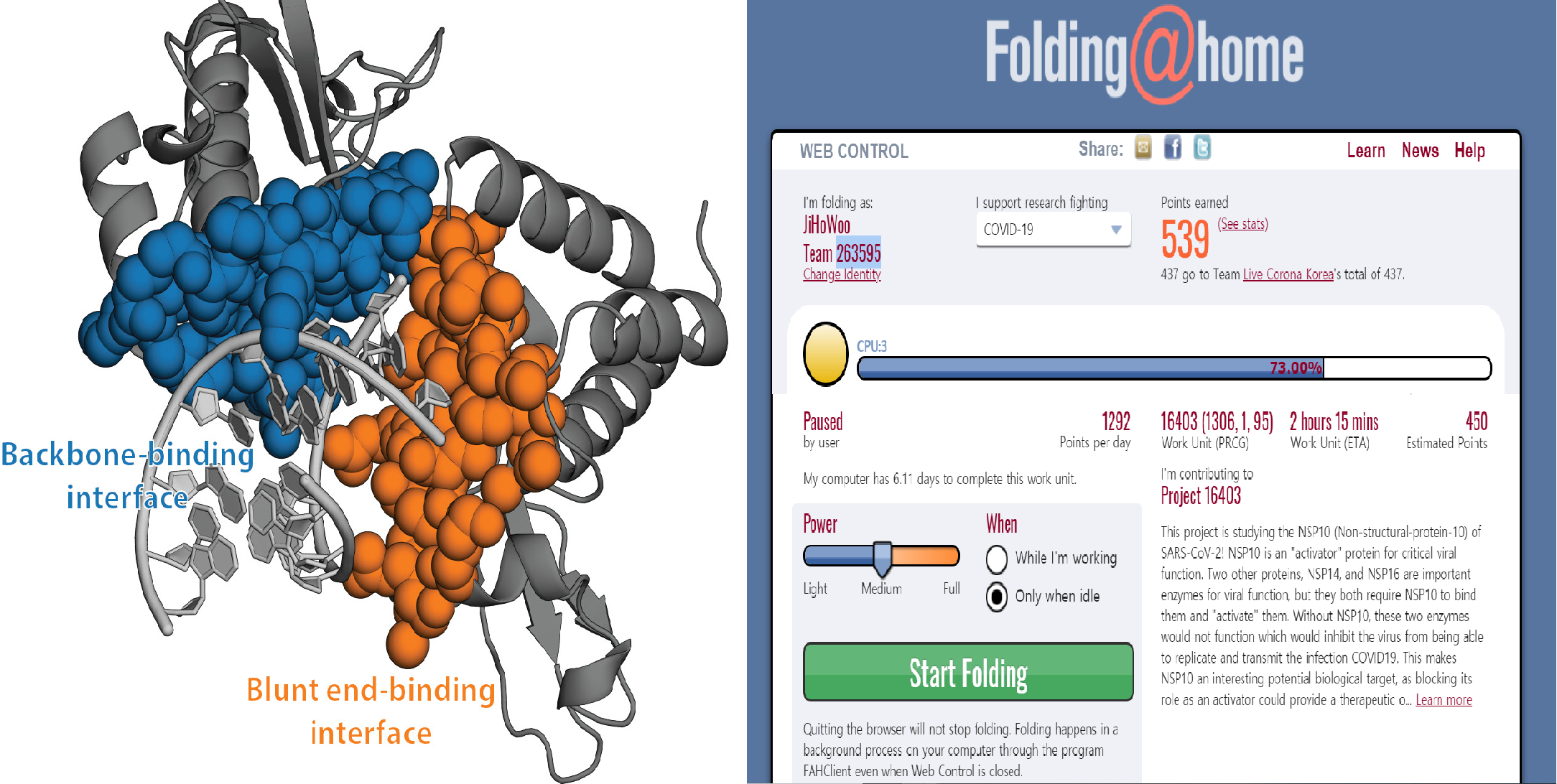 protein folding+F@H explanation image